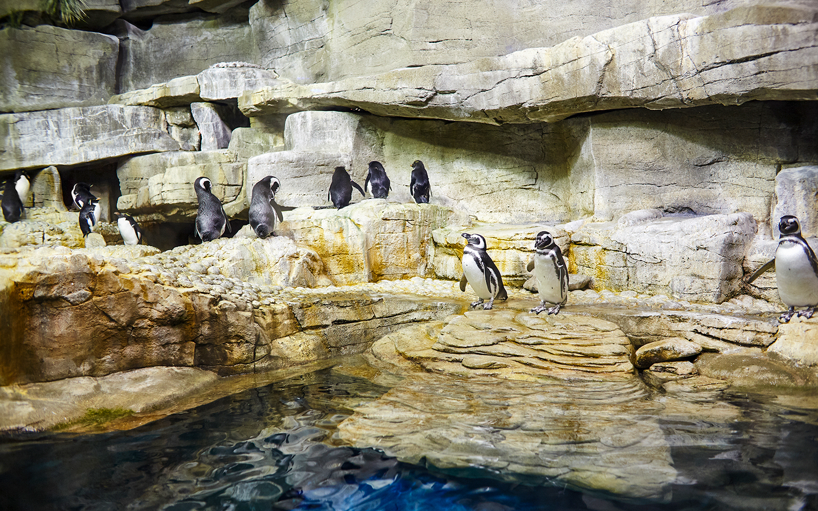 Prague Zoo - Explore Themed Pavilions