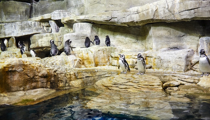 Prague Zoo - Explore Themed Pavilions