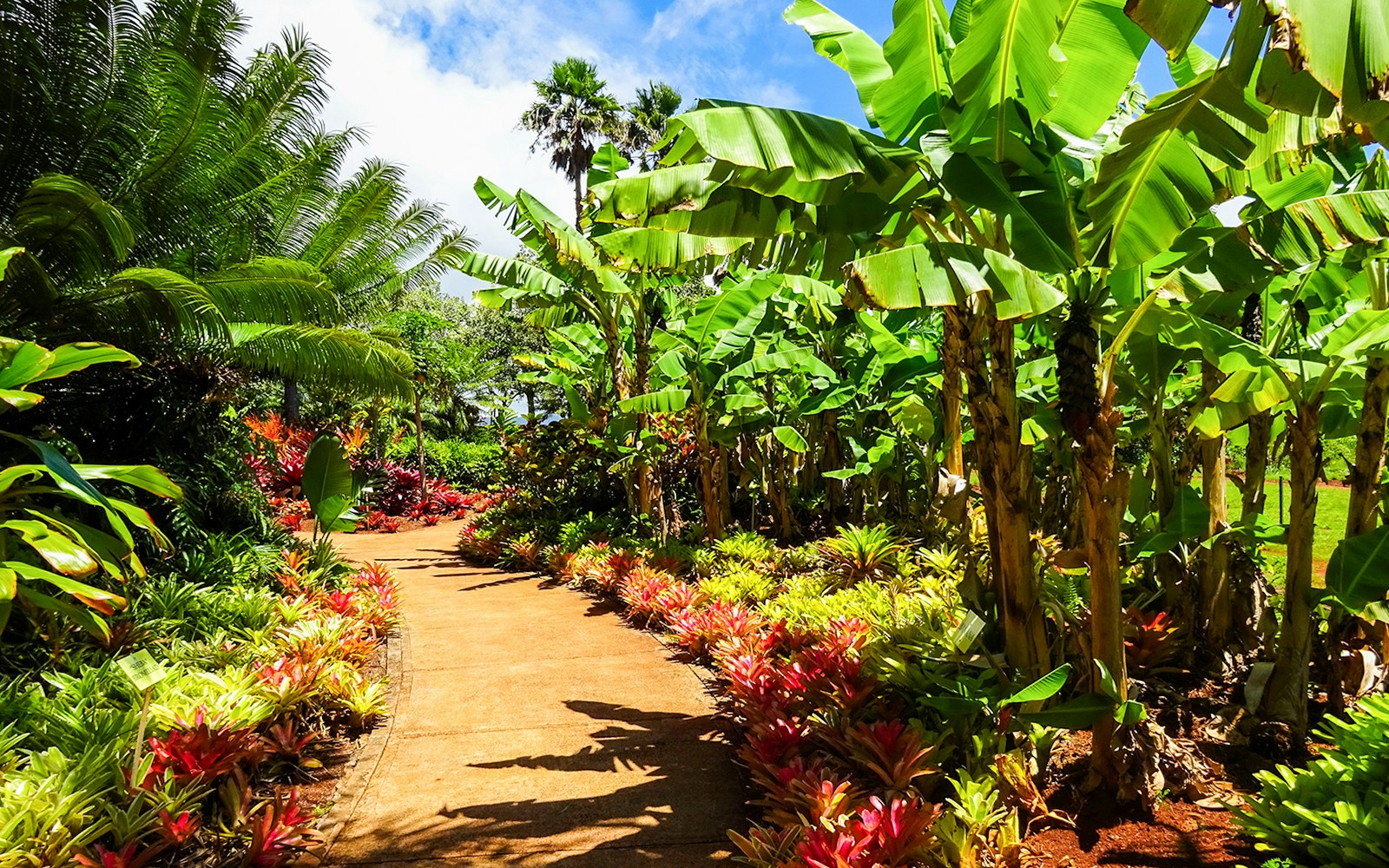 Visit the Plantation Garden