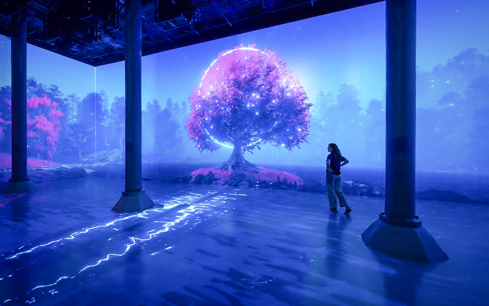 Guests viewing digital art installation at ARTECHOUSE New York.