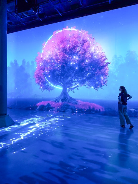 Guests viewing digital art installation at ARTECHOUSE New York.