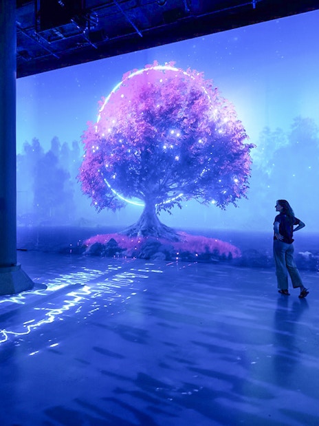 Guests viewing digital art installation at ARTECHOUSE New York.