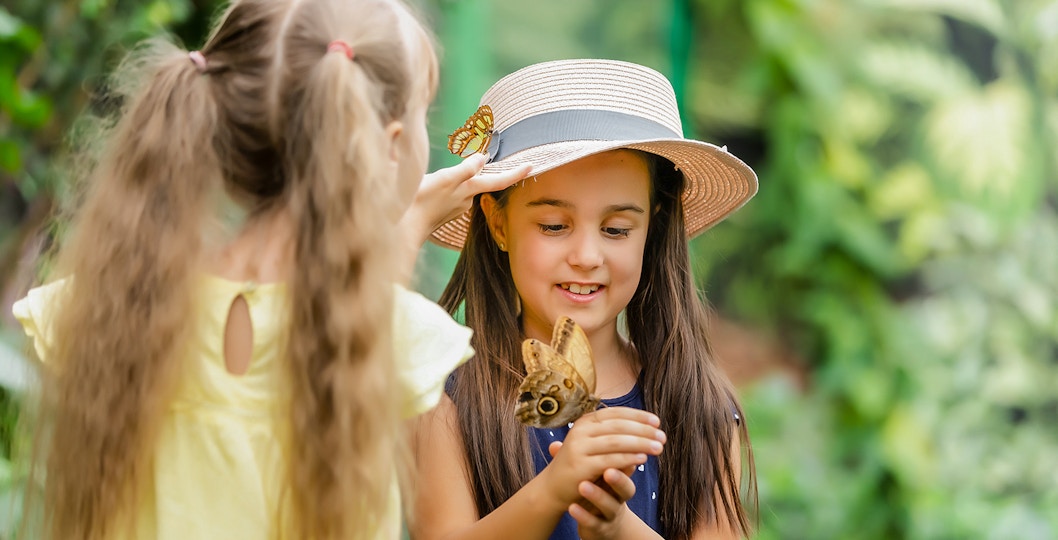 Children with Butterflies at Butterfly Garden Abu Dhabi