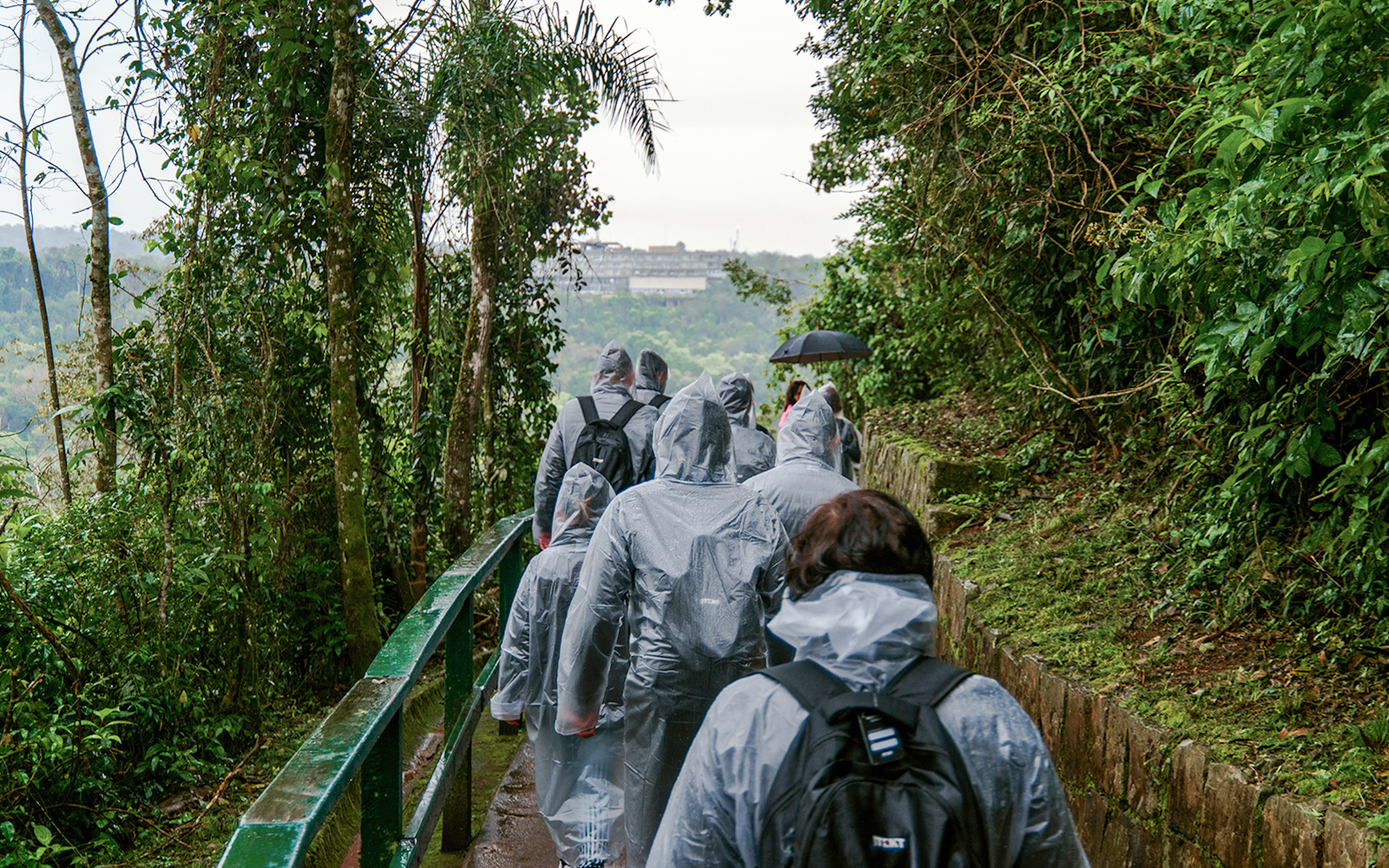 Tourists photographing wildlife near Iguazu Falls, Argentina.