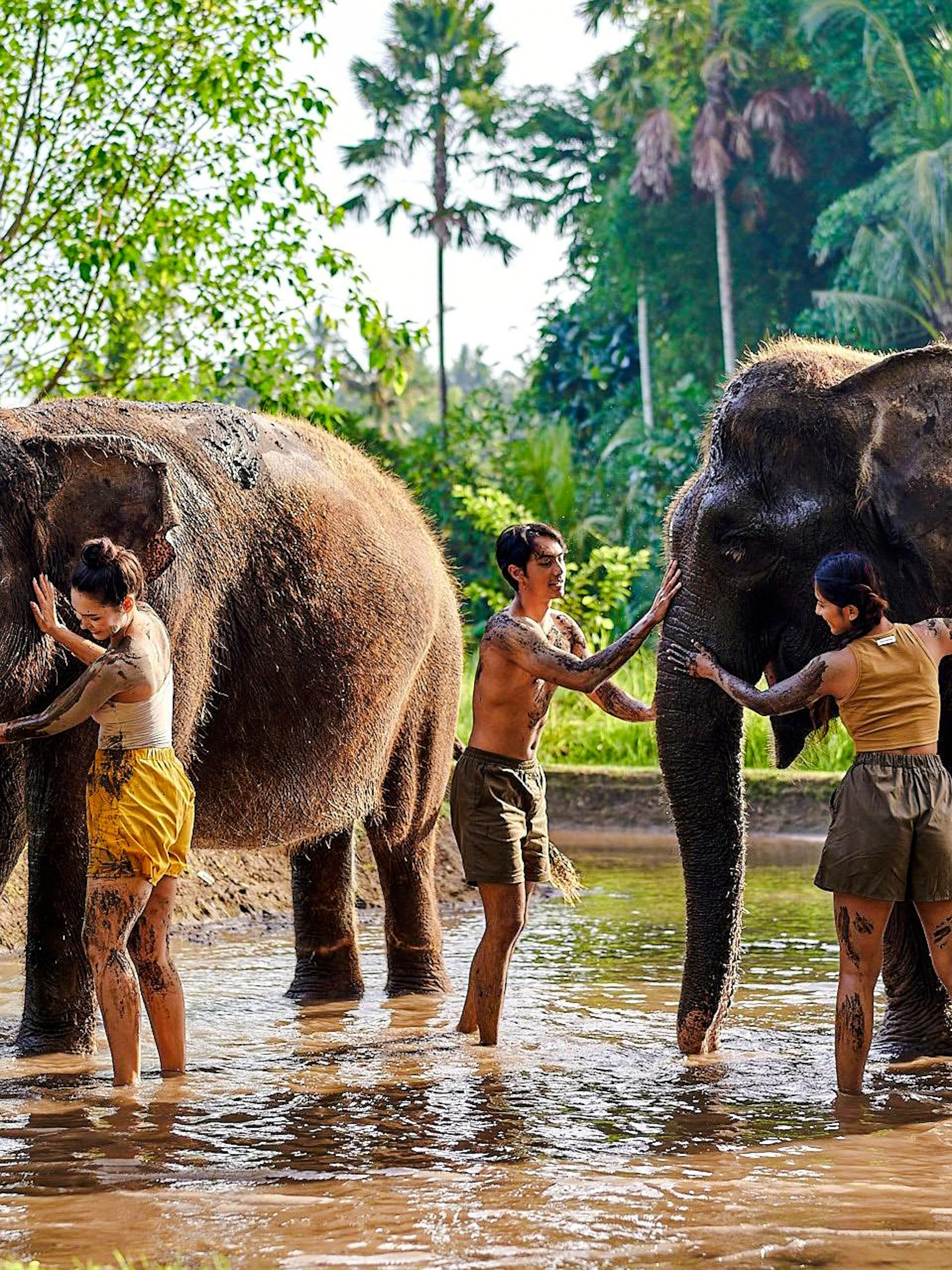 Visitors interacting with elephants during a mud bath at Bali Zoo.