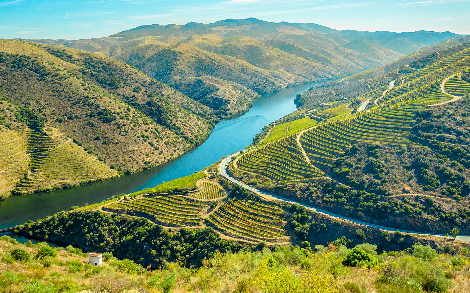 Terraced vineyards along the Douro River with N222 highway in Douro Valley, Portugal.