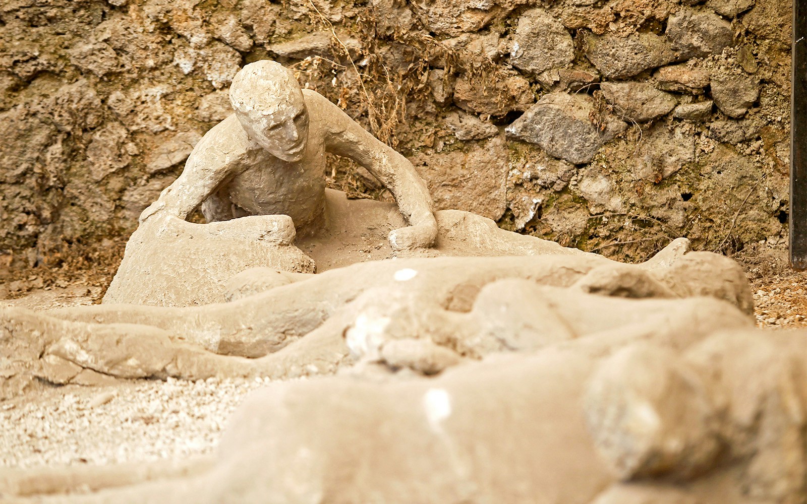 Pompeii Garden of the Fugitives plaster casts of volcanic eruption victims.