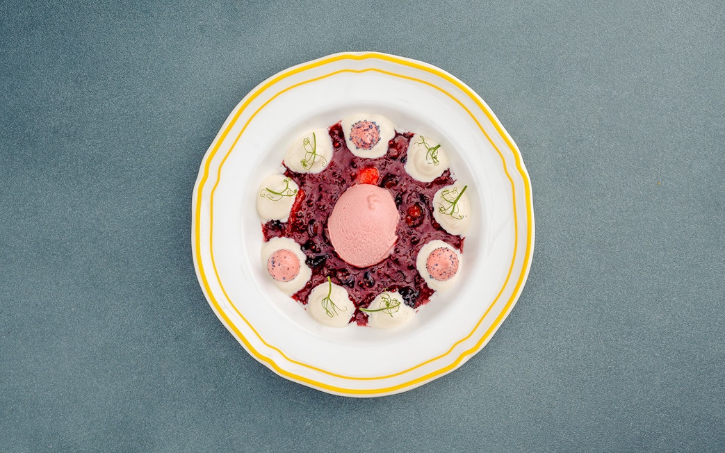 Berlin dessert with berry sauce and cream on a decorative plate.