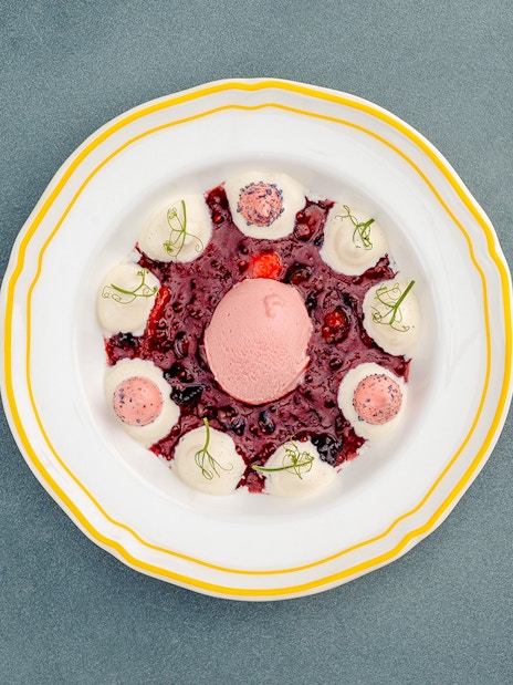 Berlin dessert with berry sauce and cream on a decorative plate.