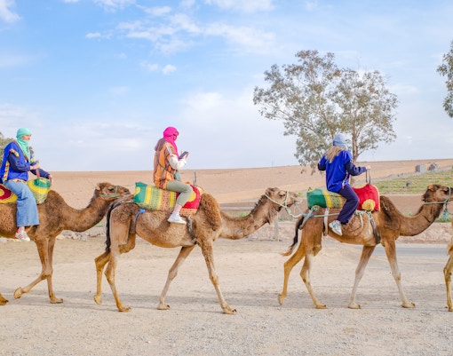 People riding camels in desert landscape near Marrakech.