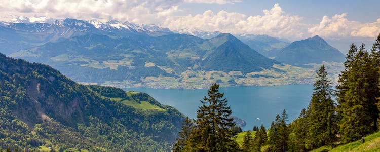 Rigi Scheidegg