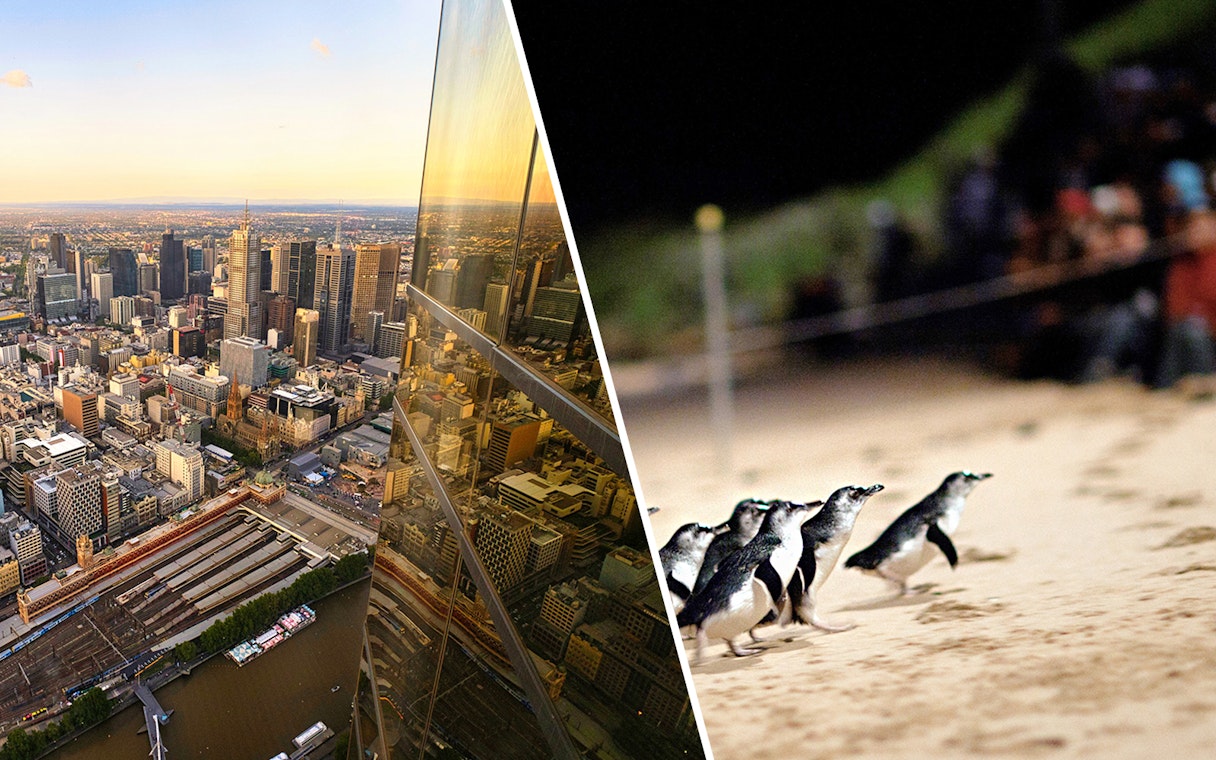 Melbourne cityscape from Eureka Tower and penguins at Phillip Island beach.