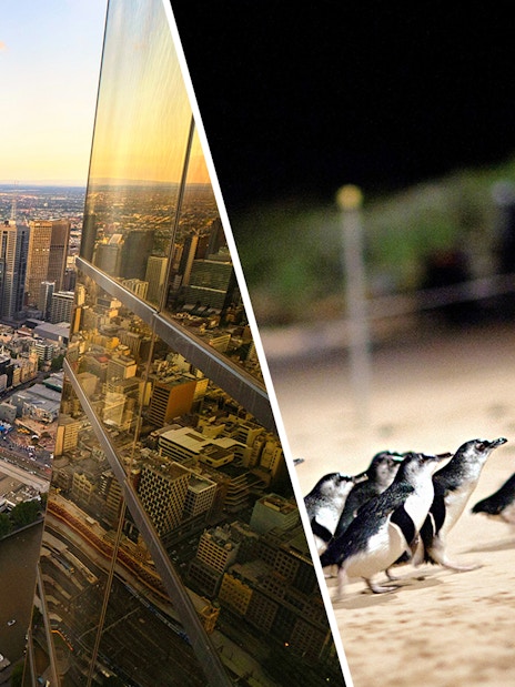 Melbourne cityscape from Eureka Tower and penguins at Phillip Island beach.