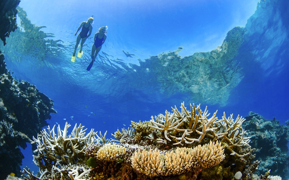 Tourists snorkeling above coral reef in Whitsundays, Australia.