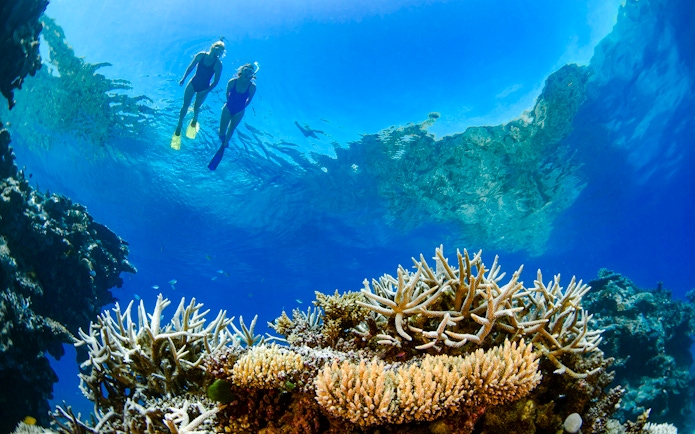 Tourists snorkeling above coral reef in Whitsundays, Australia.