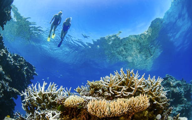 Tourists snorkeling above coral reef in Whitsundays, Australia.