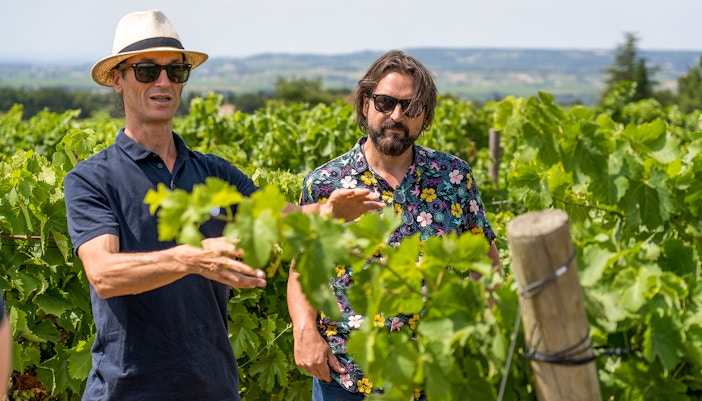 Wine Tours in Provence