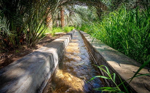 Hatta Falaj water channel surrounded by lush greenery and palm trees.