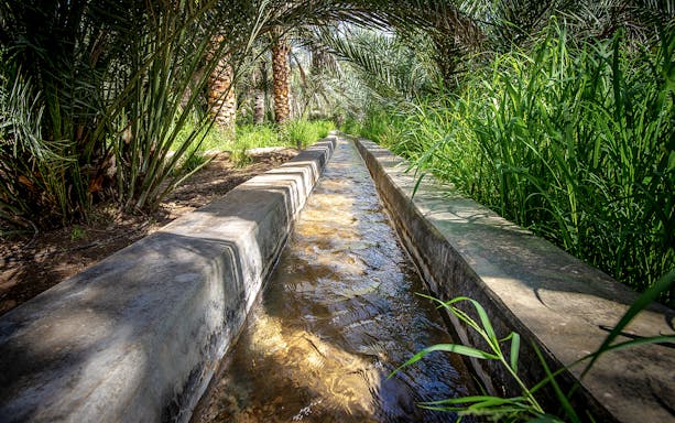 Hatta Falaj water channel surrounded by lush greenery and palm trees.