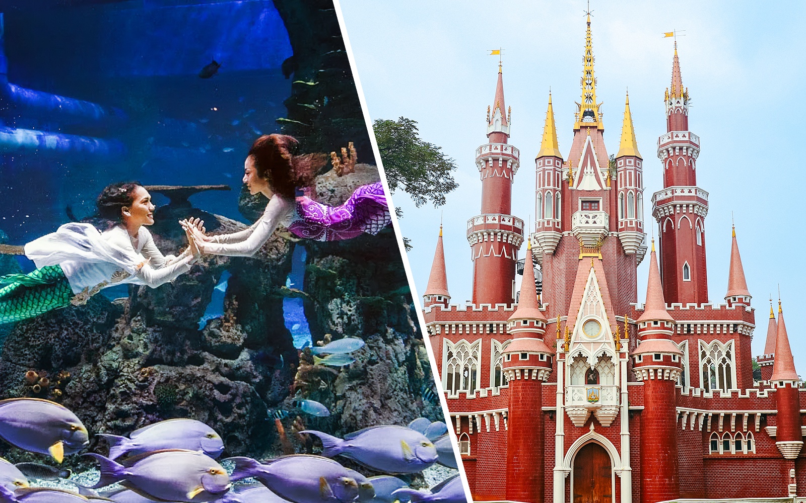 Mermaids performing underwater at Jakarta Aquarium Safari.