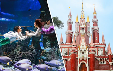 Combo: Jakarta Aquarium Safari Tickets + Taman Mini Safari Entry & Cable Car