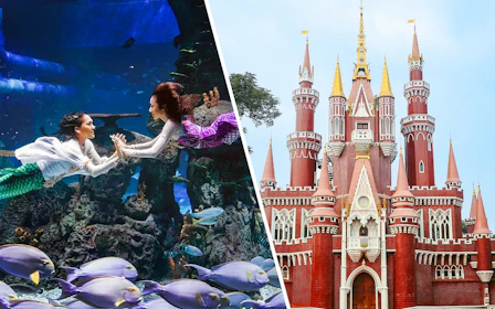 Combo: Jakarta Aquarium Safari Tickets + Taman Mini Safari Entry & Cable Car