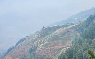 Mu Cang Chai rice terraces with misty hills, Vietnam.