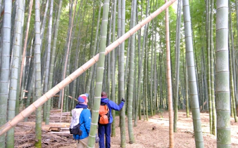 kyoto’da bambu ormanları, dağ tapınakları ve yerel suşi öğle yemeği i̇çeren e-bisiklet turu-3