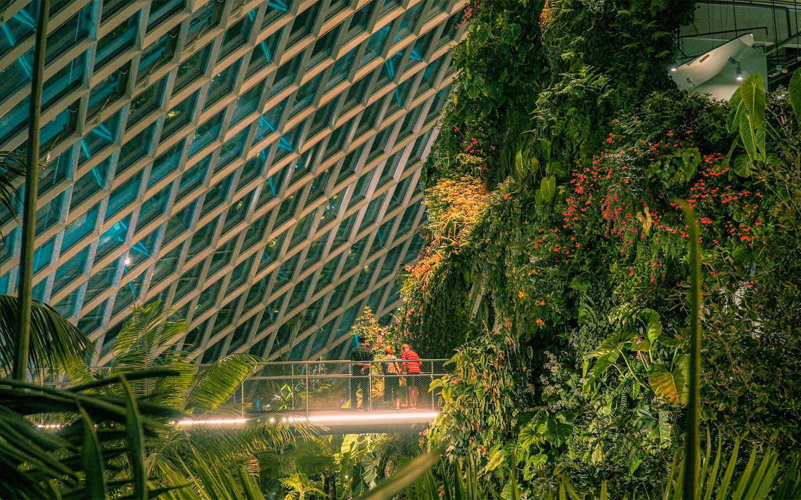 Secret Garden