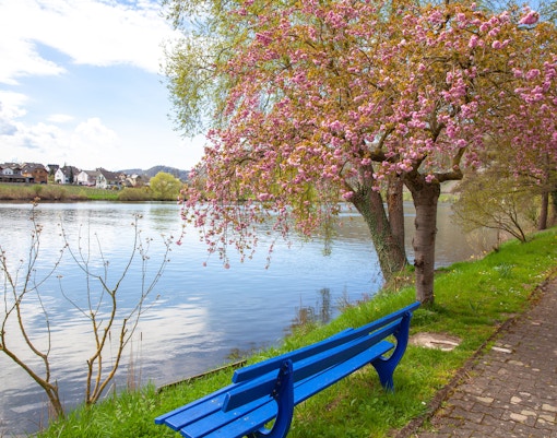 Moselle Promenade on Cochem Cruise
