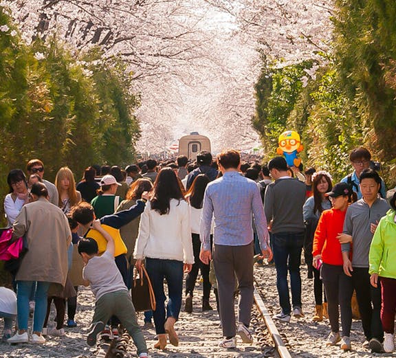 Crowd walking under cherry blossoms along a railway in South Korea.