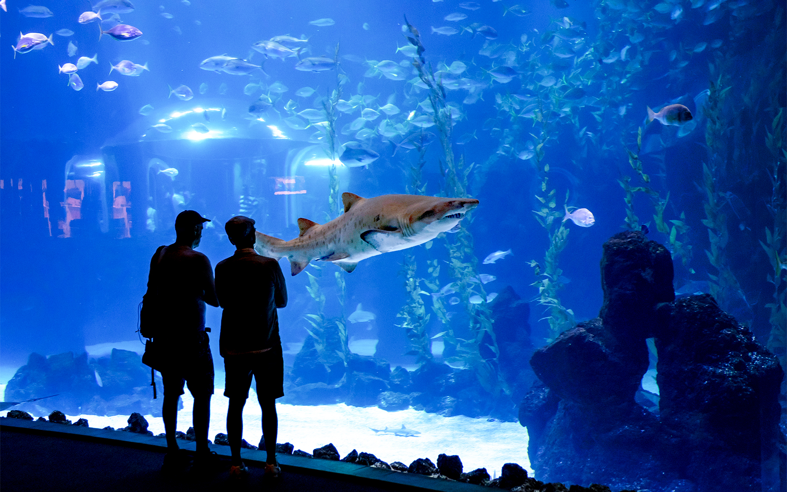 Why visit Poema del Mar in Las Palmas?