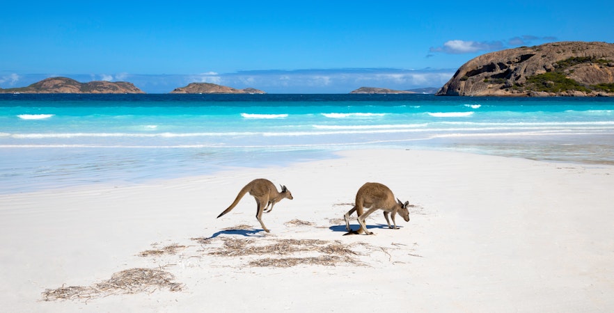 Tururi pe Insula Kangaroo