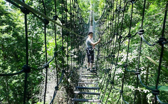 Person crossing a rope bridge at SKYTREX Adventure Sungai Congkak, Kuala Lumpur.