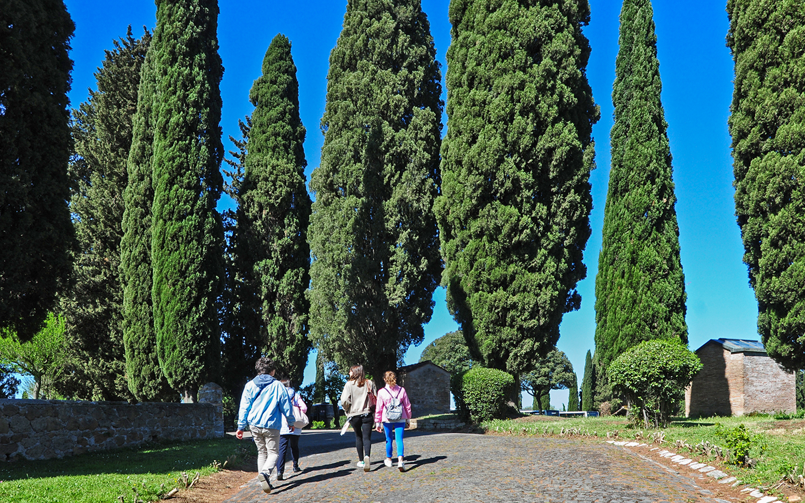 Pathway lined with tall cypress trees leading to the Catacombs of St Callixtus.