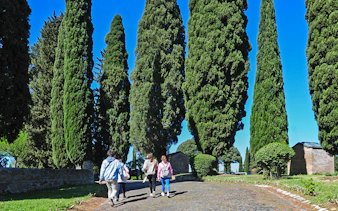 Pathway lined with tall cypress trees leading to the Catacombs of St Callixtus.