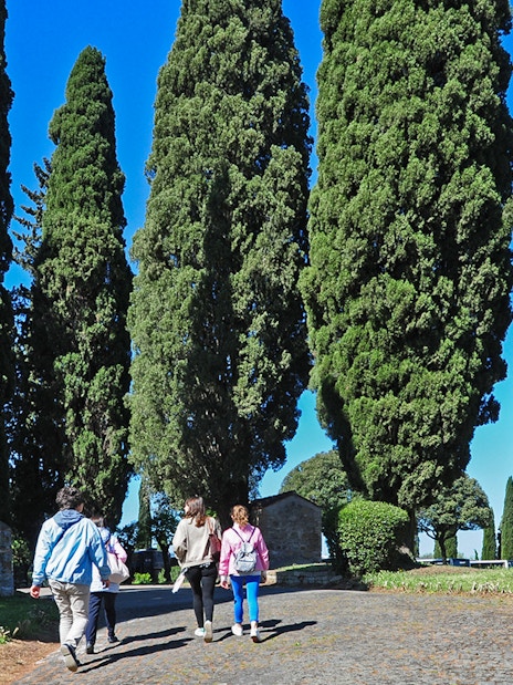 Pathway lined with tall cypress trees leading to the Catacombs of St Callixtus.