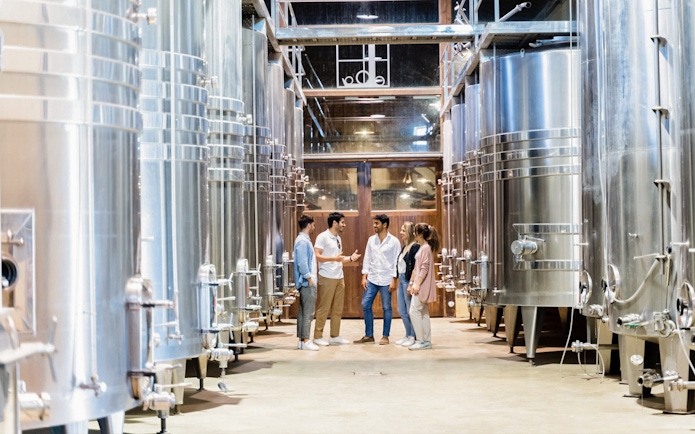 Tourists exploring a winery with large steel fermentation tanks in Toledo.