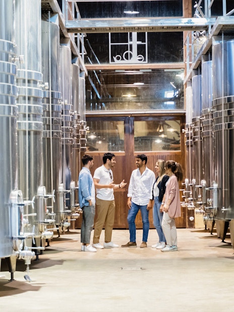 Tourists exploring a winery with large steel fermentation tanks in Toledo.