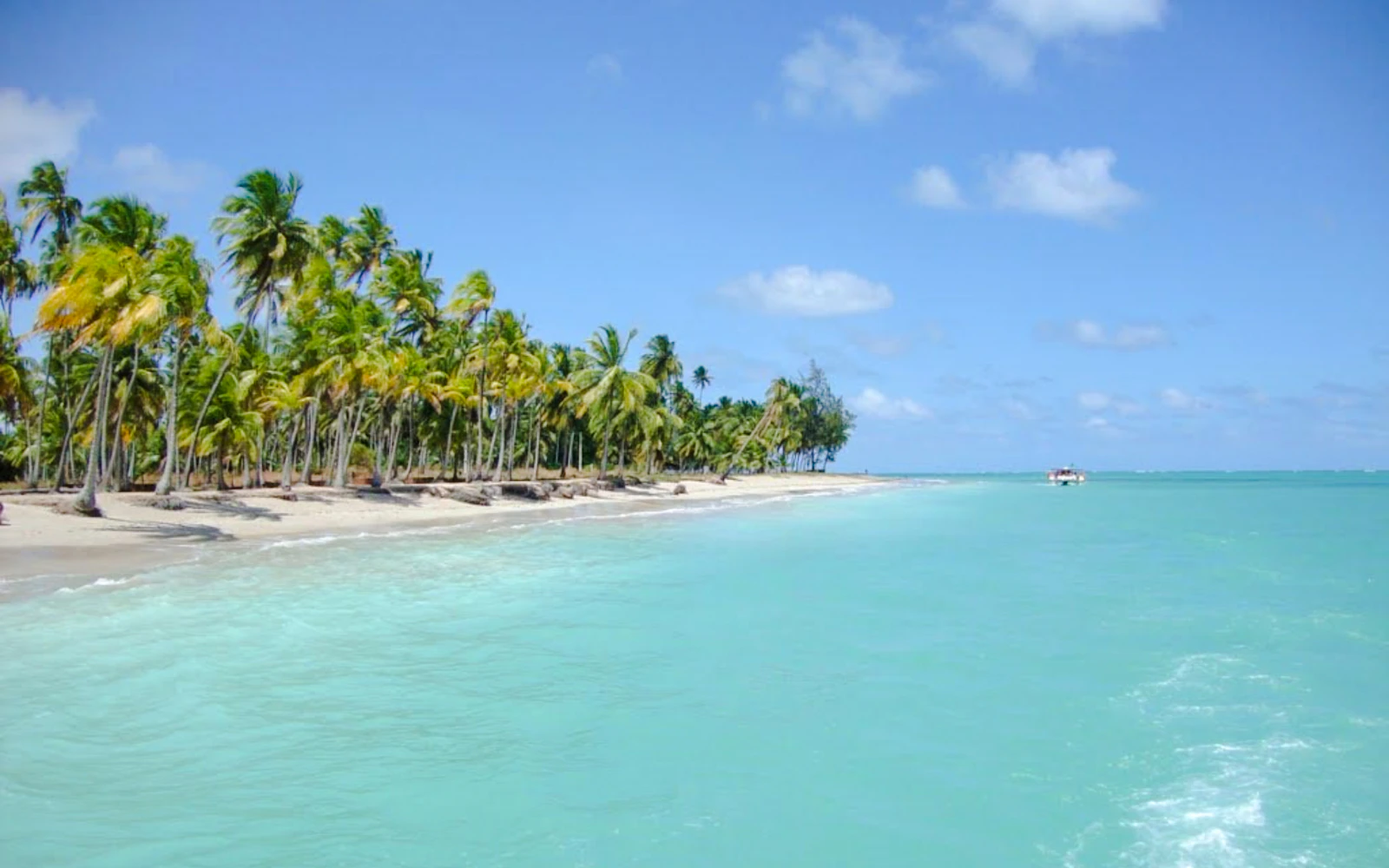 From Maceió: Private Maragogi Beaches Day Trip with Transport and Speedboat Tour (Product 55767)
