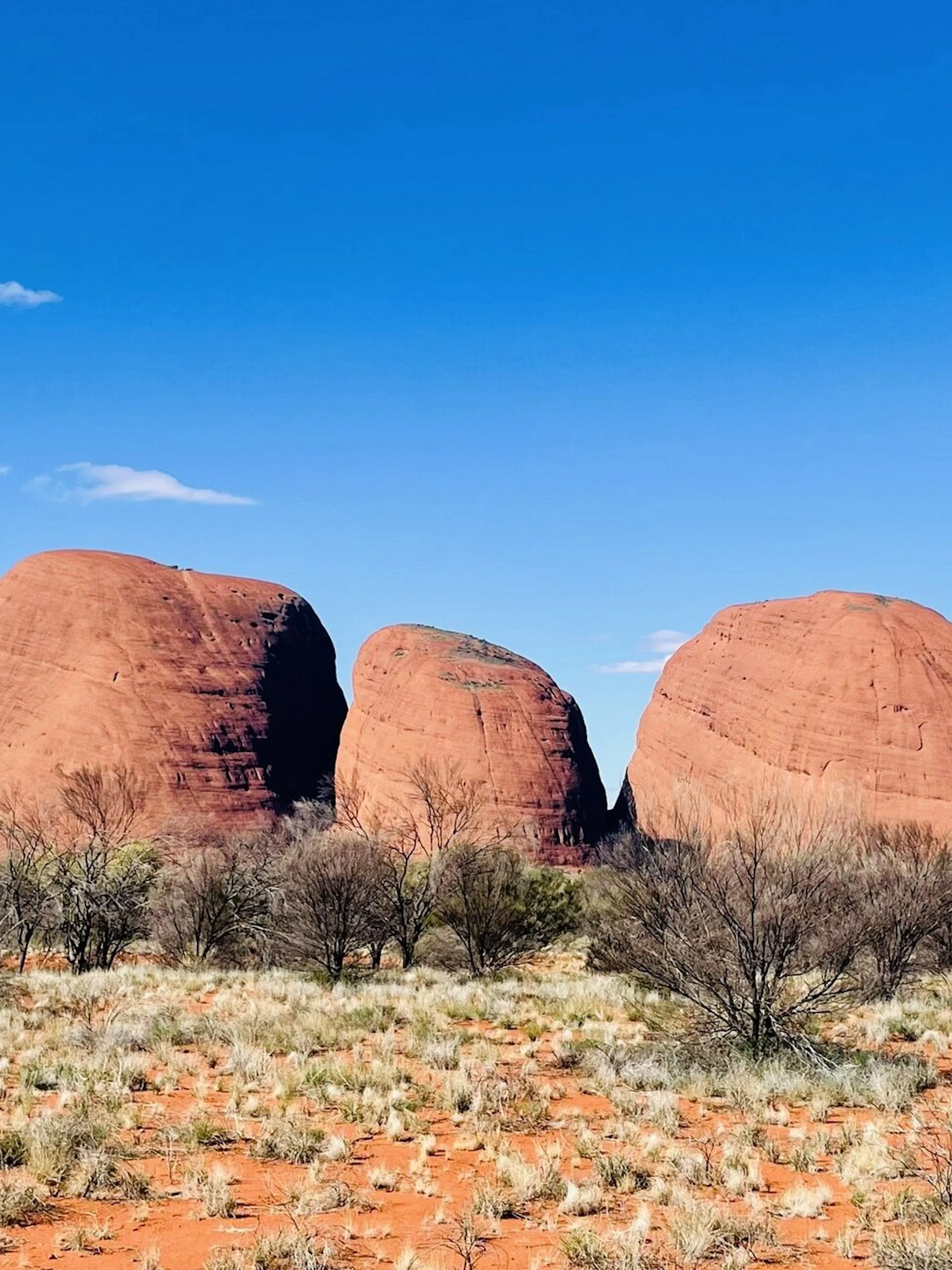 Kata Tjuta rock formations under clear blue sky in Australian Outback.