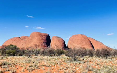 From Yulara/Ayers Rock: 2 Day Uluru & Kata Tjuta Outback Camping Adventure Tour