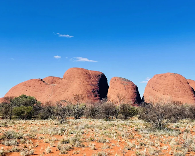 From Yulara/Ayers Rock: 2 Day Uluru & Kata Tjuta Outback Camping Adventure Tour