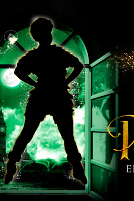 Silhouette of a character in front of a moonlit window with "Peter, El Musical" text.