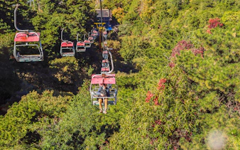 Man on cable car ascending through forest to the Great Wall of China.