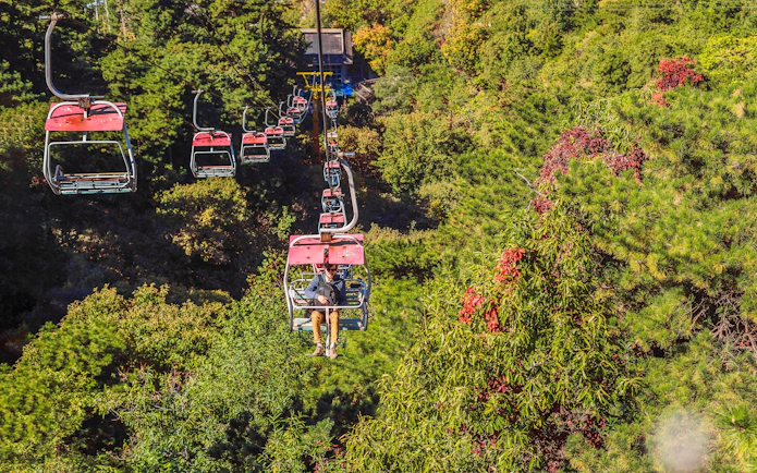 Man on cable car ascending through forest to the Great Wall of China.