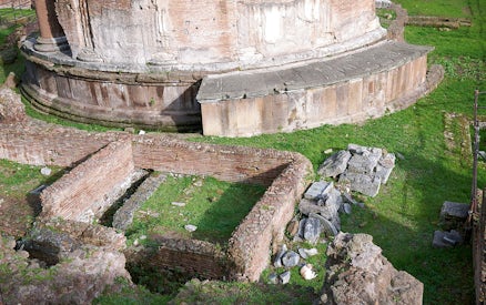 Largo di Torre Argentina ruins in Rome, featuring ancient brick walls and stone structures.