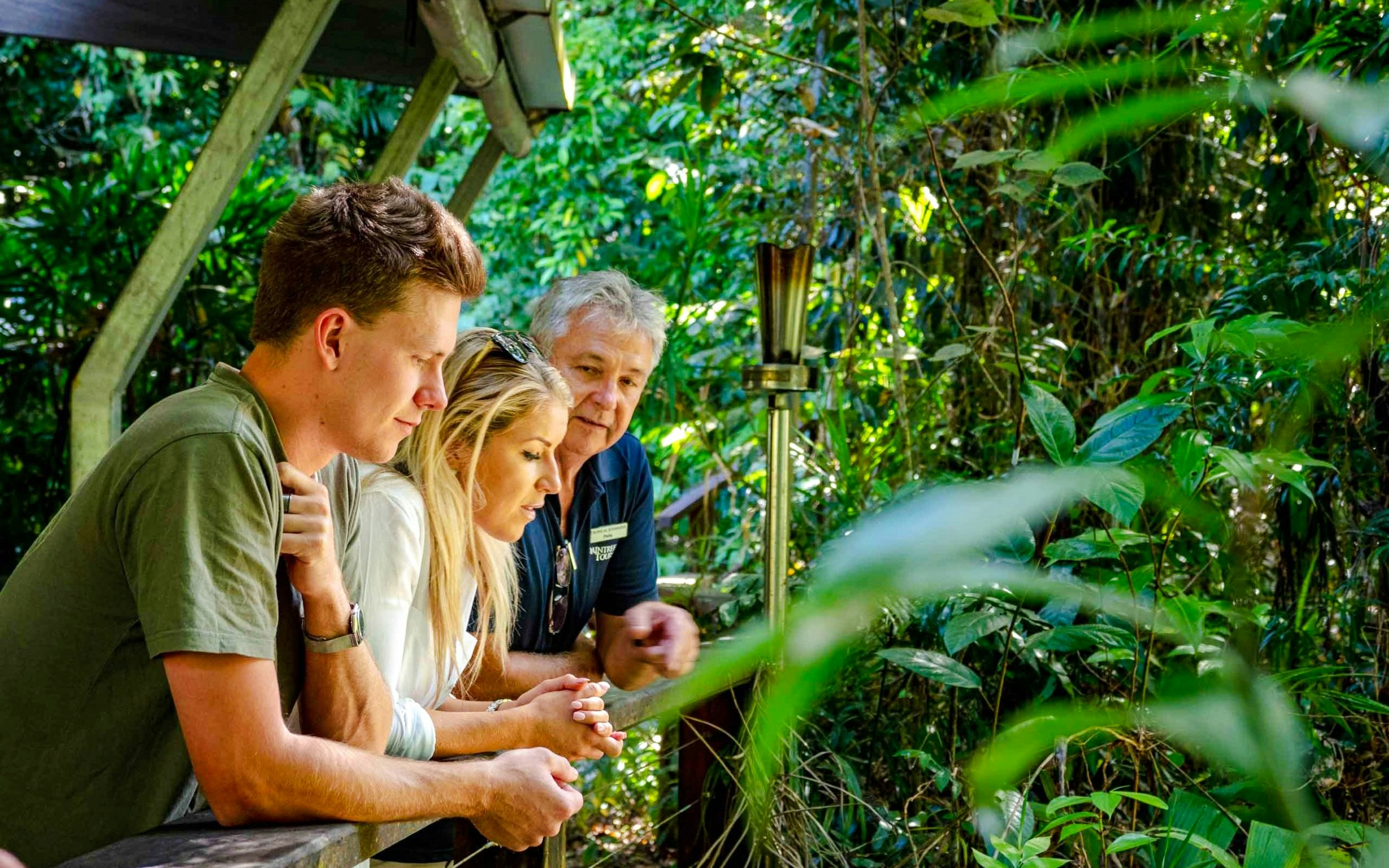 Guide explaining rainforest features to tourists at Daintree National Park.
