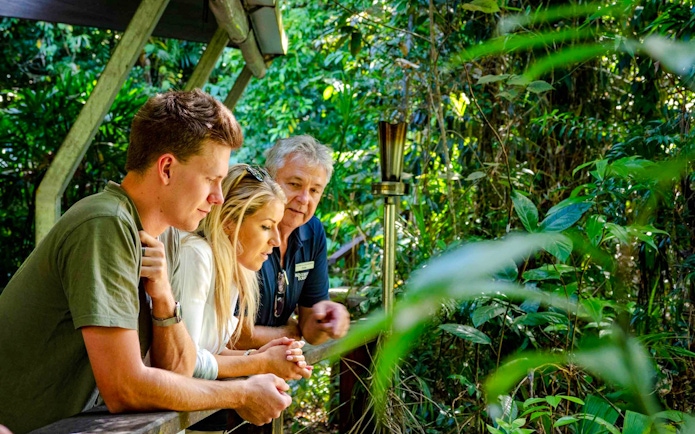 Guide explaining rainforest features to tourists at Daintree National Park.