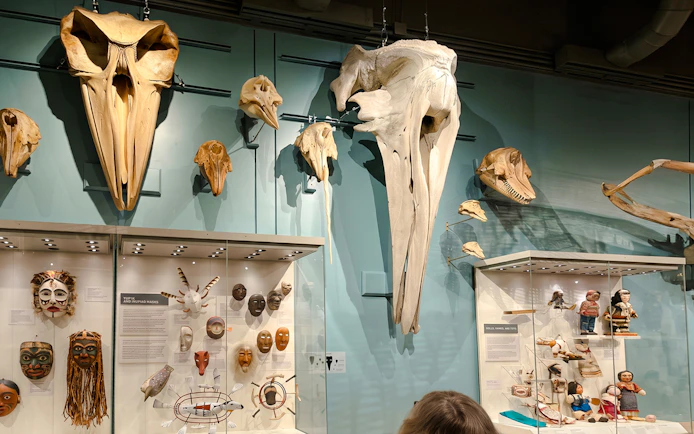 Whale skulls and indigenous masks displayed at Fairbanks museum exhibit.